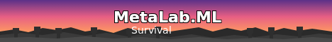 MetaLab.ML