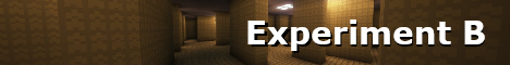 Experiment B (Backrooms)