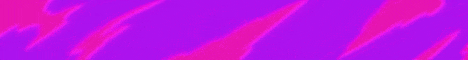 Prime Network