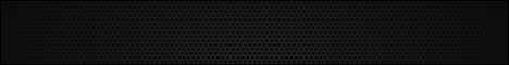 9b9t