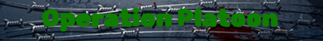 Operation Platoon