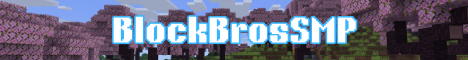 BlockBrosSMP