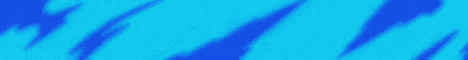 Voyage Network