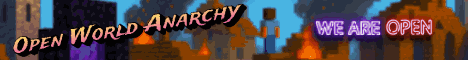 Open World Anarchy