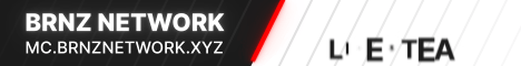 Brnz Network