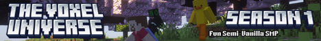 The Voxel Universe