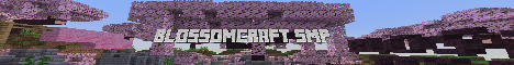 BlossomCraft SMP