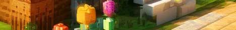 Dragon smp