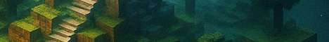 Freedom SMP